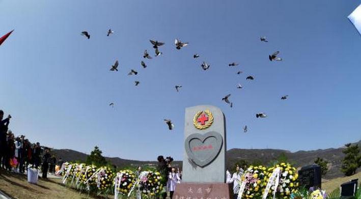 beat365网页版登录