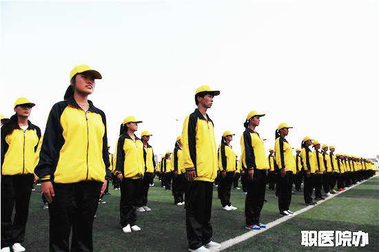 beat365网页版登录